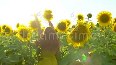 美女奔跑在黄葵花田上，举手.. 自由概念。 户外快乐的女人。 收获。 向日葵